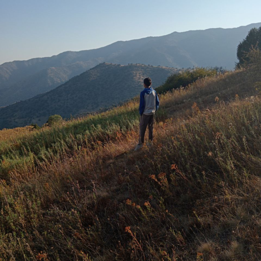 Profile picture of user _sayitov