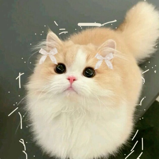 Profile picture of user E'zoza