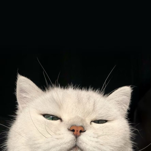 Profile picture of user Shaxriddin Avazov