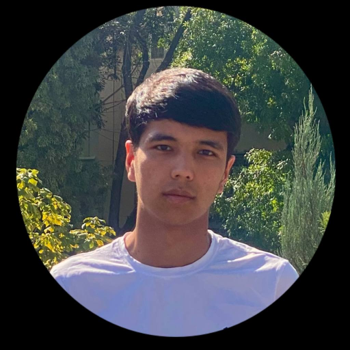 Profile picture of user Azizillo Nabiyev