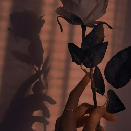 Profile picture of user smile :)