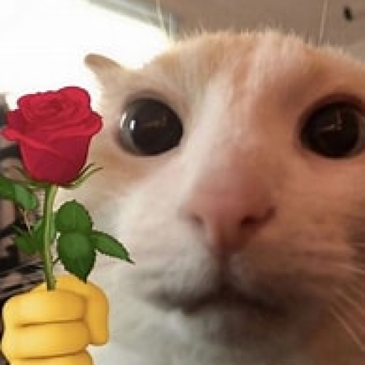 Profile picture of user almat