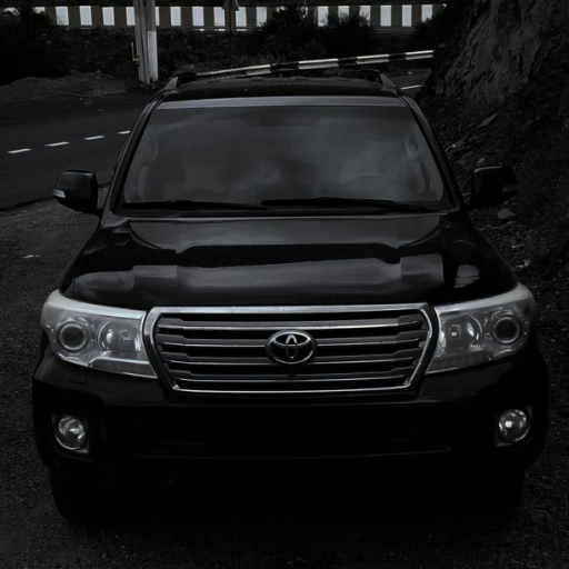 Profile picture of user almat