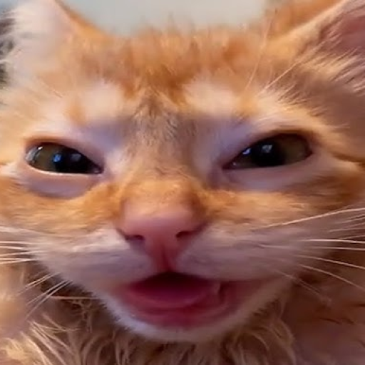 Profile picture of user hdiuhesaiudh