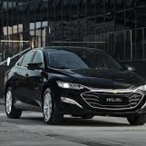 Profile picture of user doyirov.15