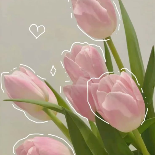Profile picture of user Shodmonova Zarina