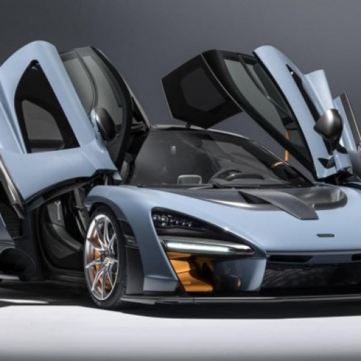 Profile picture of user To'rayev Shuhrat