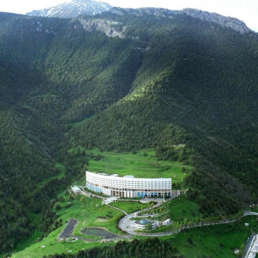 Profile picture of user azamat sultonov