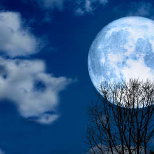 Profile picture of user gulsanam