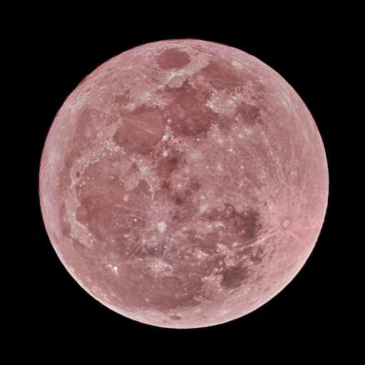 Profile picture of user r. u.