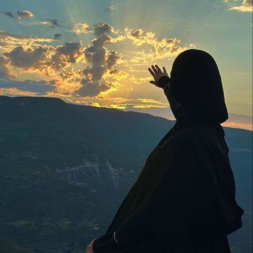 Profile picture of user Nabiyeva Xolida
