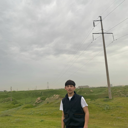 Profile picture of user Sardor Salaydinov
