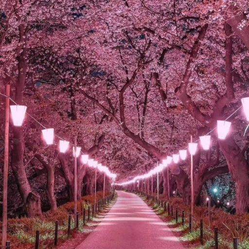 Profile picture of user Sulaymonjonova Sabrina