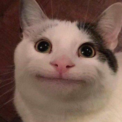 Profile picture of user Xasanboy