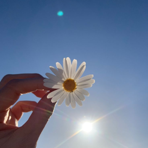 Profile picture of user E'zoza Abduraxmanova