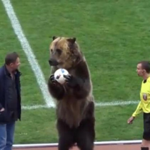 Profile picture of user Abdunazarov Mo'minjon