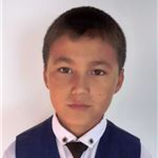 Profile picture of user axmetkenjebaev