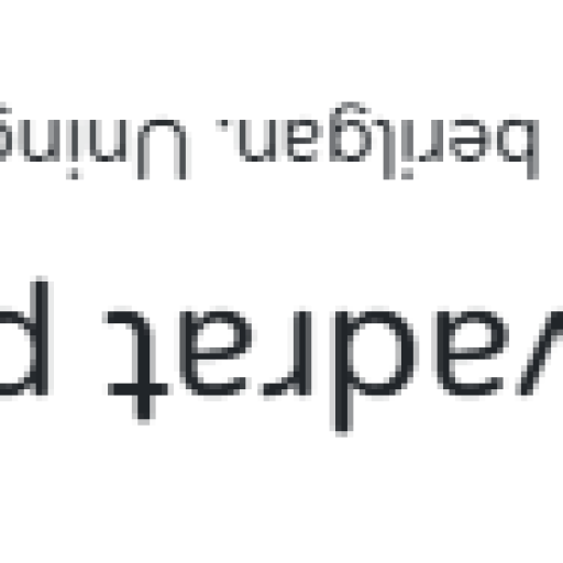 Profile picture of user gulchexra