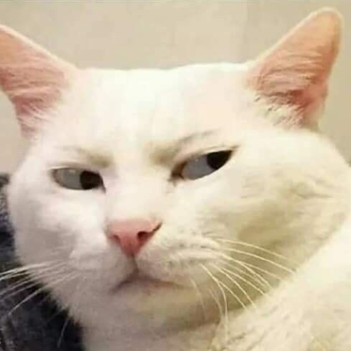 Profile picture of user Shaxzada
