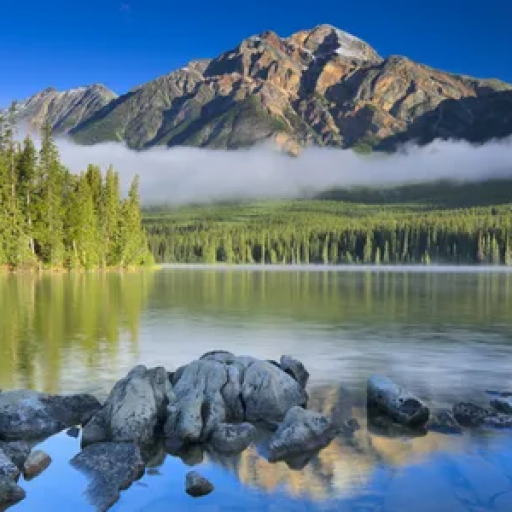 Profile picture of user ilhomova zarnigor