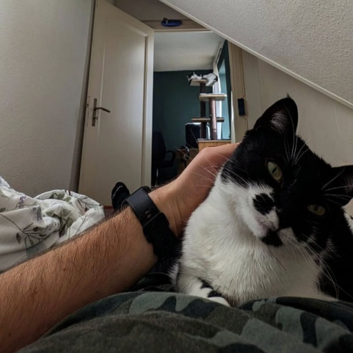 Profile picture of user Oxunjonov Akbarjon