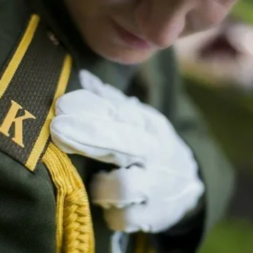 Profile picture of user Azizov Diyorbek