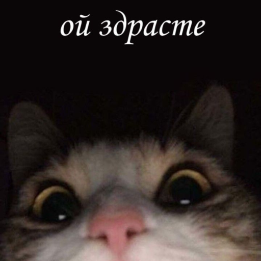 Profile picture of user Fazilat
