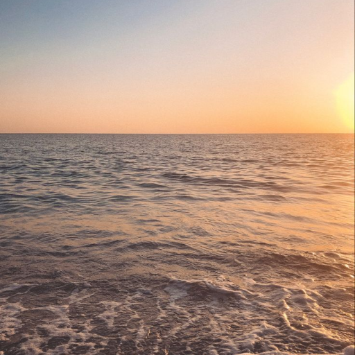 Profile picture of user sevarakamariddinova