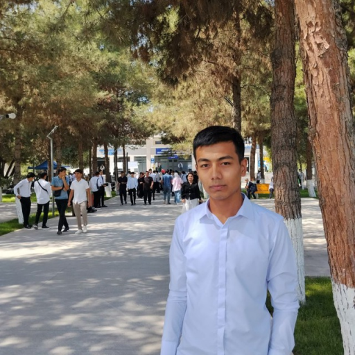 Profile picture of user Diyorbek Abdug'afforov