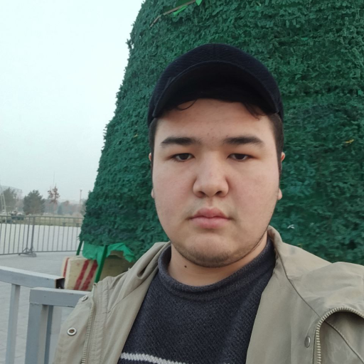 Profile picture of user Azizbek Turdumatov