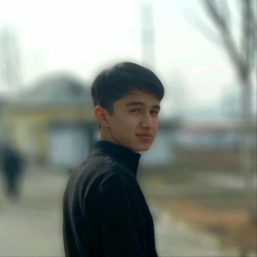 Profile picture of user Behruzbek Karimjanov