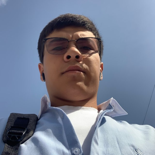 Profile picture of user Dilmurod Eshmamatov