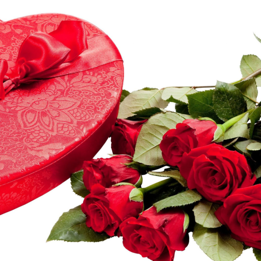 Profile picture of user Abdunazarova Parizoda