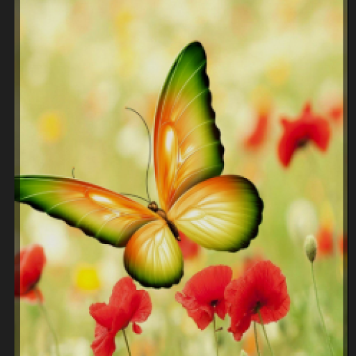 Profile picture of user Mahkamova Odina