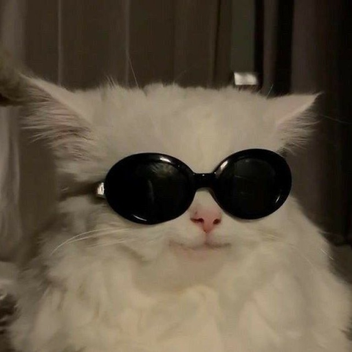 Profile picture of user Saidov Komronbek