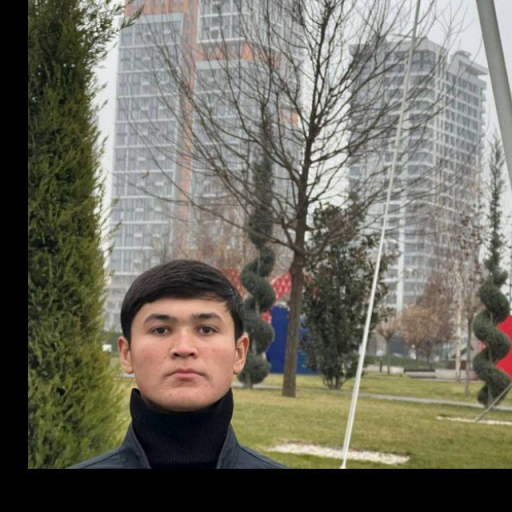 Profile picture of user Abdumajidov Sardorbek