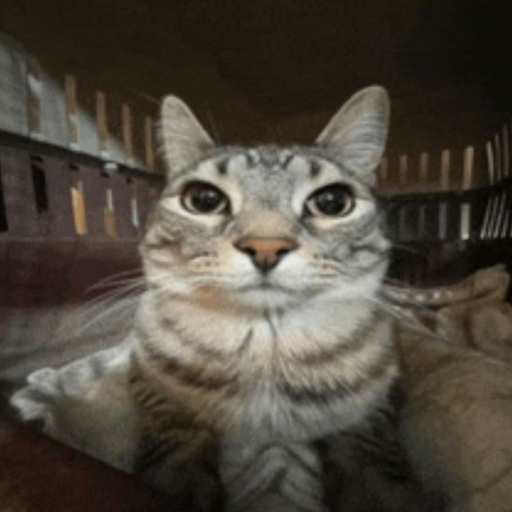 Profile picture of user Xayitboyev Xudoyshukur