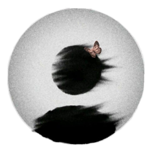 Profile picture of user Diyora