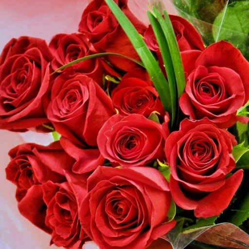 Profile picture of user Zarnigor Shuhratova