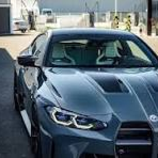 Profile picture of user Ruzimamatov