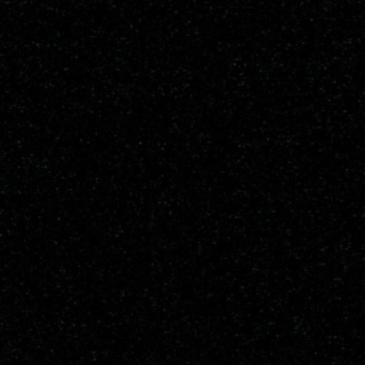 Profile picture of user nargiza