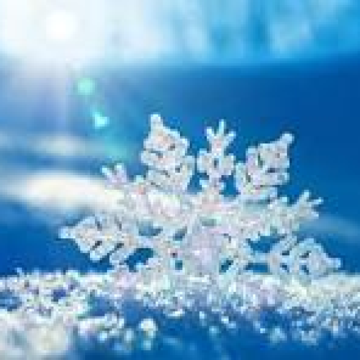 Profile picture of user nobody