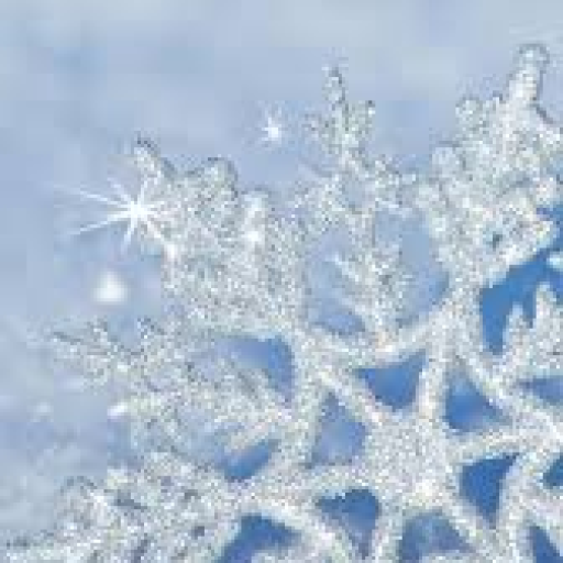 Profile picture of user winter