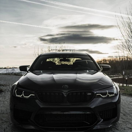 Profile picture of user -