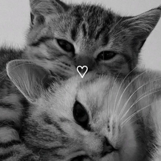 Profile picture of user 😍BESTIES😀👌🏻