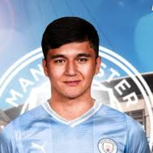 Profile picture of user Asilbek Nurmatov