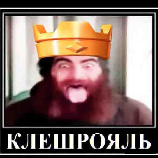 Profile picture of user Z S