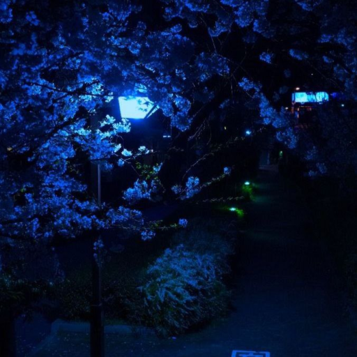 Profile picture of user Ulug'bek