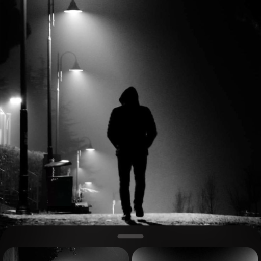 Profile picture of user MURODBEK HAMROYEV