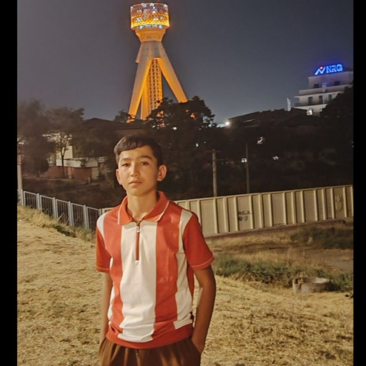 Profile picture of user Bahriddin